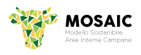 M.O.S.A.I.C Logo